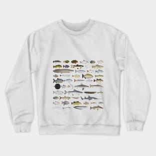 Amazon River Basin Fish Group Crewneck Sweatshirt